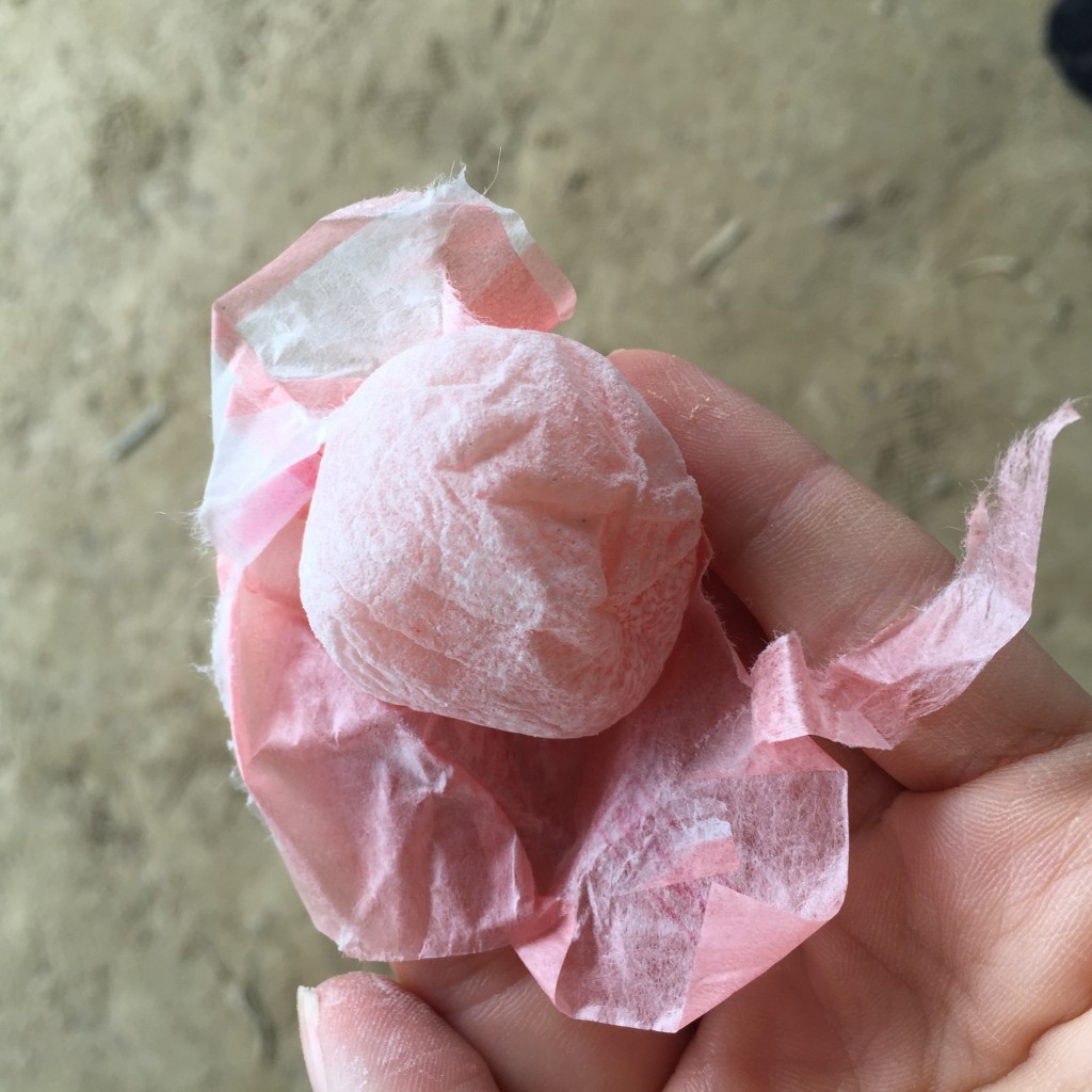 Kibi dango—I tried the white peach flavor first - so delicious!