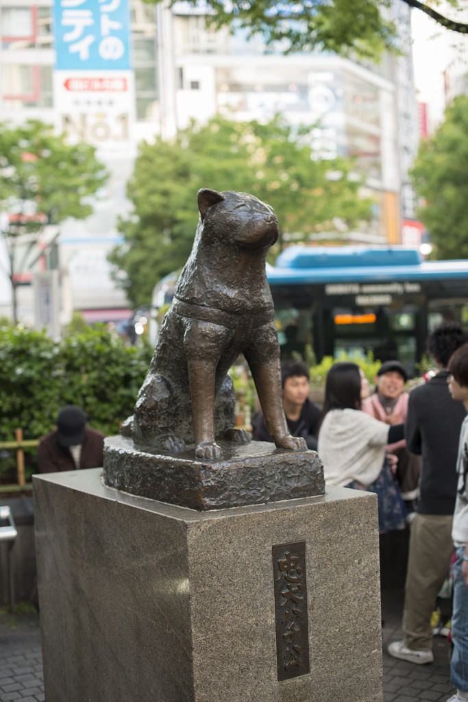 The Hachiko statue today