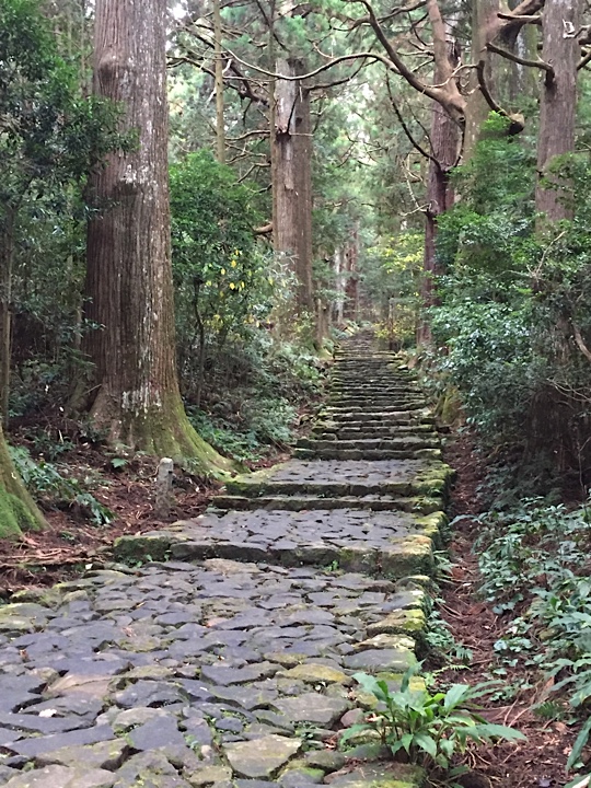 The enchanting Daimonzaka part of the path below Nachi Taisha shrine at the bottom of the hill. This 600 m long path includes the most perfectly preserved part of the Kumano Kodo and is over 1,000 years old and lined with ancient cedar trees. Don't miss it!