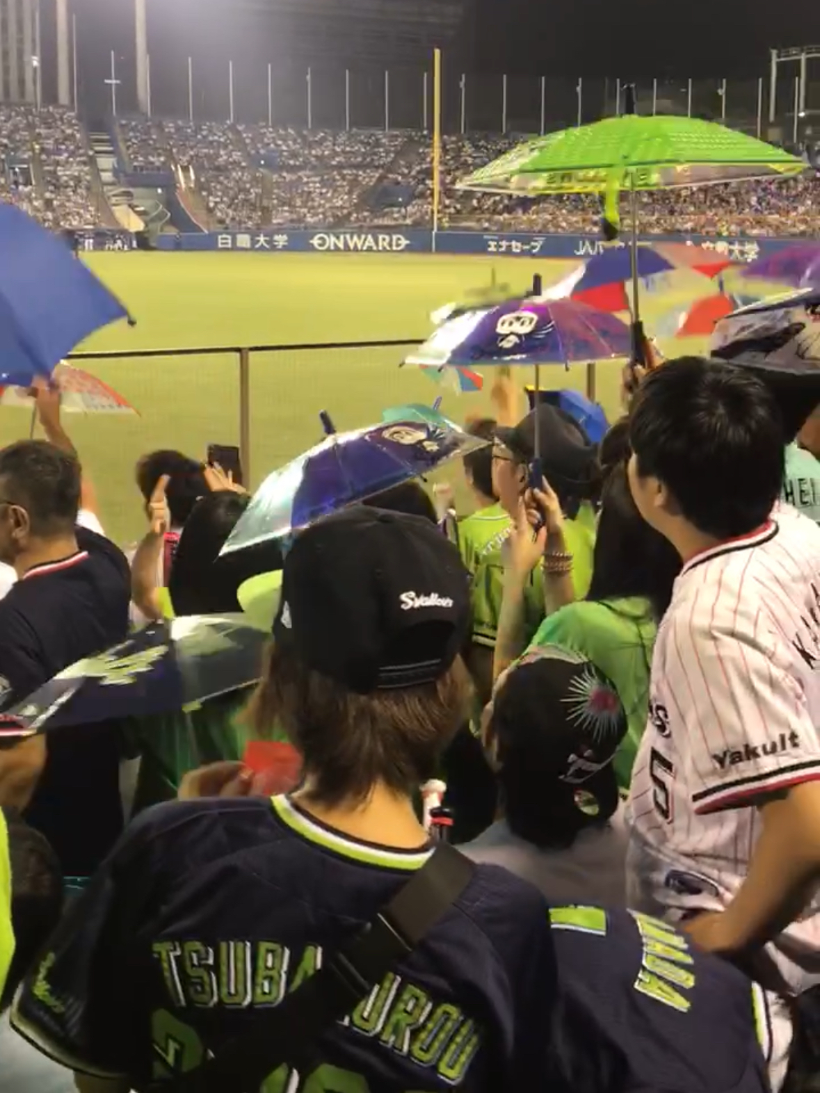 WhatsApp Image 2024-10-03 at 8.57.09 AM Yakult Swallows Tokyo Ondo Dance at Meiji Jingu Stadium