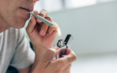 Can You Smoke Weed in Japan? Japanese Drug Laws Explained