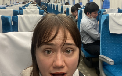 26 Things NOT to Do in Japan