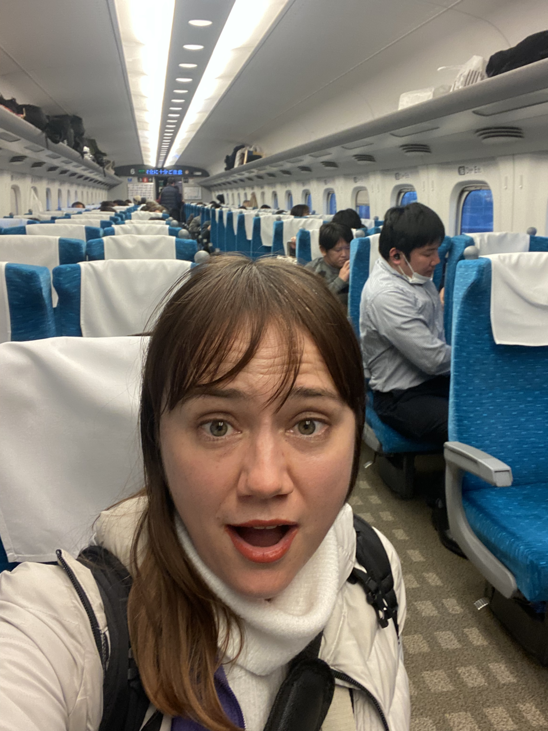 bullet train rules