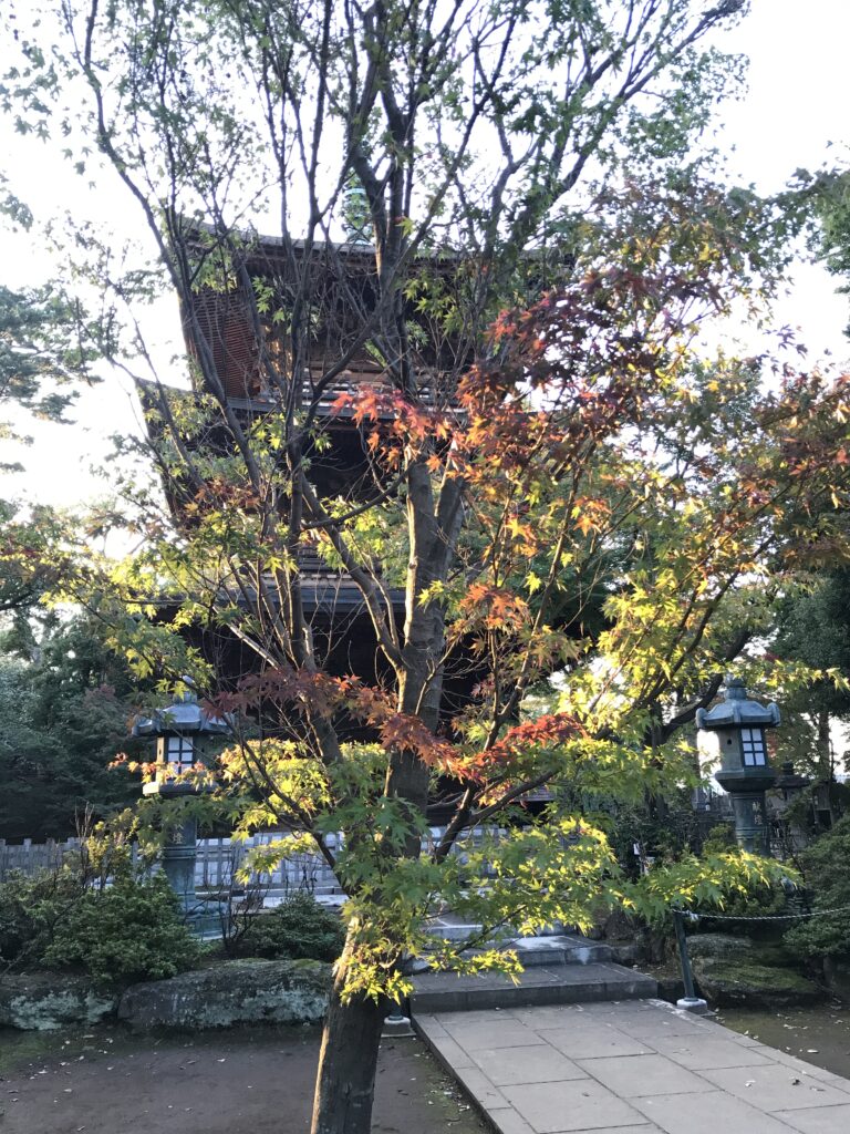 Gotokuji Temple in Tokyo