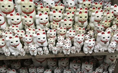 What Is the Cat Temple in Tokyo? A Complete Guide to Gotokuji