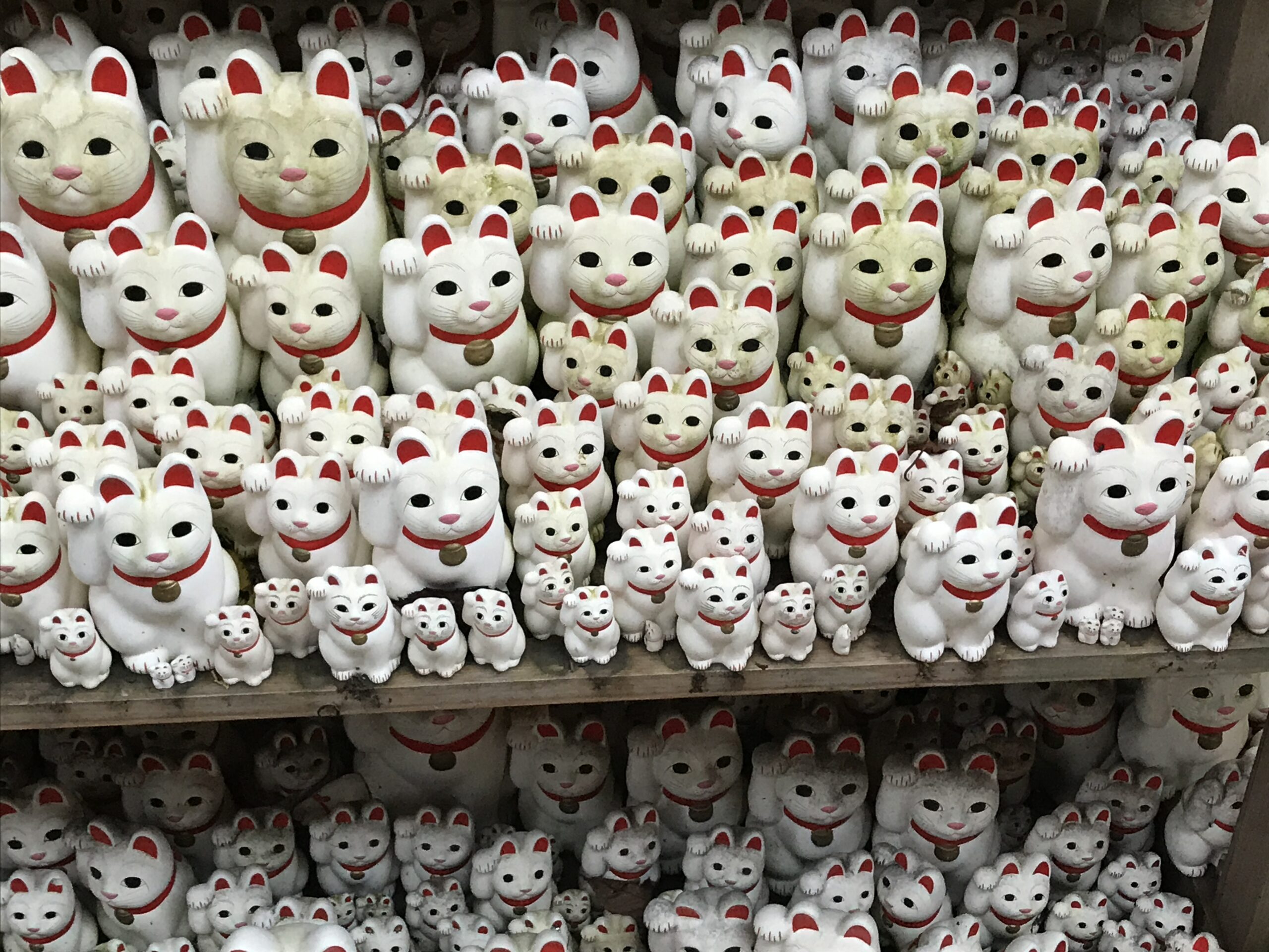 Gotokuji Cat Temple in Tokyo