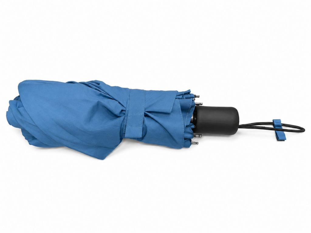 The Uniqlo compact umbrella