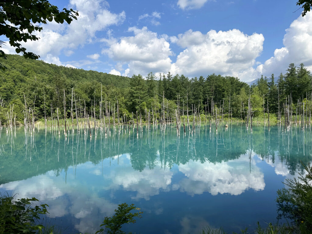 Shirogane Blue Pond (Aoi Ike), Biei, Hokkaido