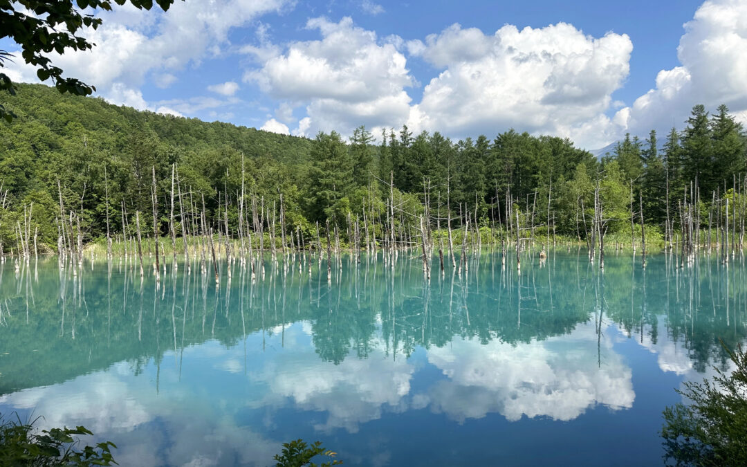 8 Best Day Trips from Sapporo in the Summer
