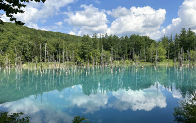 8 Best Day Trips from Sapporo in the Summer