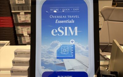 What Is the Best eSIM for Japan Travel? Pocket WiFi, SIMs, & eSIMs Compared