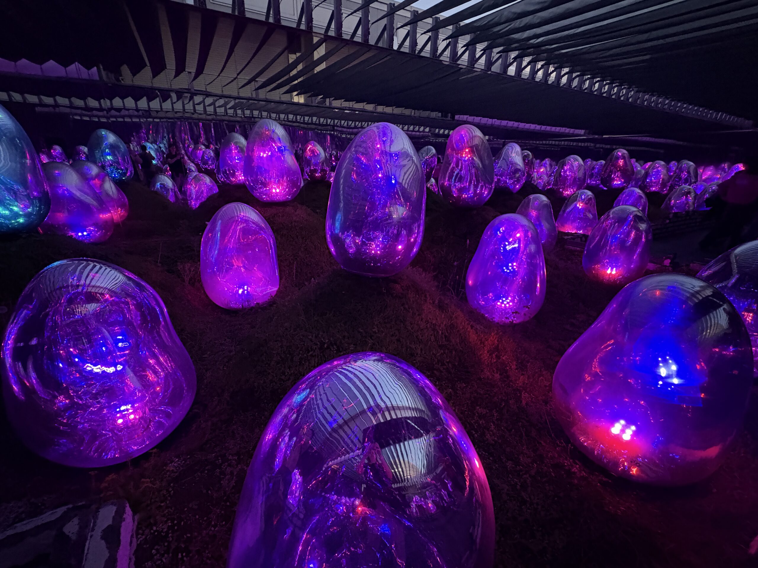 Glowing ovoids in the Moss Garden of Resonating Microcosms at teamLab Planets Tokyo