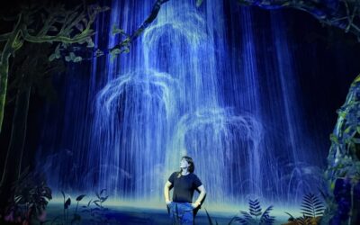 teamLab Planets vs. teamLab Borderless Tokyo – Which Is Better?